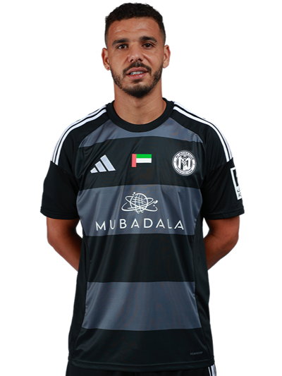 محمد ربيع