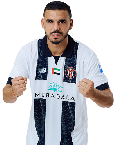 محمد ربيع